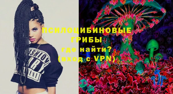 прущие грибы Абаза