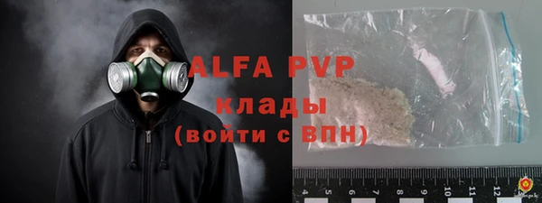 прущие грибы Абаза