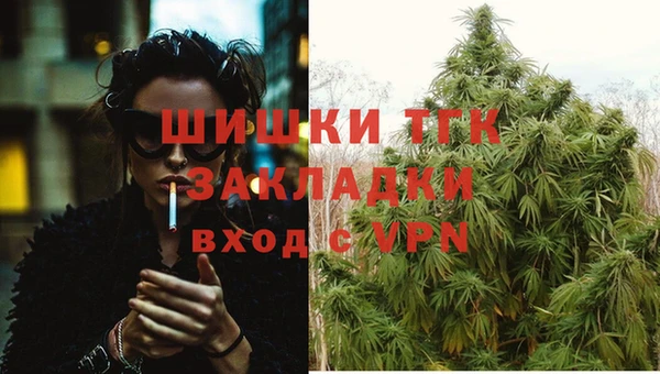 прущие грибы Абаза