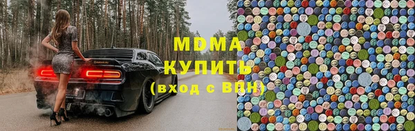прущие грибы Абаза